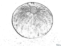 squashes Leathanaigh Dathúcháin Inphriontáilte